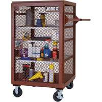 Mobile Mesh Cabinet, Steel, 22 Cubic Feet, Red Buying Direct Corp.