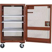 Mobile Mesh Cabinet, Steel, 22 Cubic Feet, Red Buying Direct Corp.