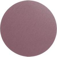 PSA Cloth Disc 348D, 12" Dia., 60 Grit, Aluminum Oxide, X-Weight Buying Direct Corp.