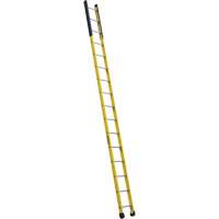 Single Manhole Ladder, 16', Fibreglass, 375 lbs., CSA Grade 1AA Buying Direct Corp.