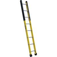Single Manhole Ladder, 8', Fibreglass, 375 lbs., CSA Grade 1AA Buying Direct Corp.