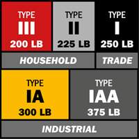 Escabeau avec plateau &agrave; peinture, 10', Aluminium, Capacit&eacute; 225 lb, Type 2 Buying Direct Corp.