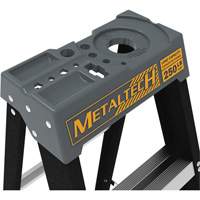 Escabeau avec plateau &agrave; peinture, 10', Fibre de verre, Capacit&eacute; 250 lb, Type 1 Buying Direct Corp.