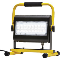 Flood Light, LED, 50 W, 4800 Lumens, Aluminum Housing Buying Direct Corp.