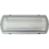 Luminaire de secours Tempesta, Plastique, DEL, 120 - 347 V Buying Direct Corp.