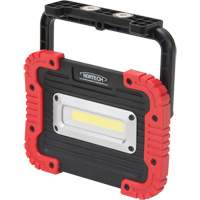 Portable Work Light, LED, 10 W, 1000 Lumens, Plastic Housing Buying Direct Corp.