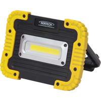 Portable Work Light, LED, 10 W, 1000 Lumens, Plastic Housing Buying Direct Corp.