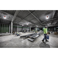 RADIUS Temporary Site Light, LED, 130 W, 15000 Lumens Buying Direct Corp.