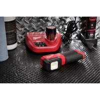 M12 Paint and Detailing Color Match Light, LED, 1000 Lumens Buying Direct Corp.