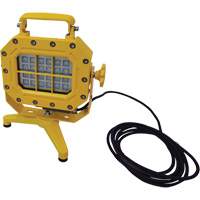 Explosion Proof Floodlight with Stand, LED, 40 W, 5600 Lumens, Aluminum Housing Buying Direct Corp.