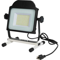 Floodlight, LED, 100 W, 10000 Lumens Buying Direct Corp.