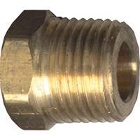 Hex Head Cored Plug, Pipe, 1/8" Dia., Brass Buying Direct Corp.